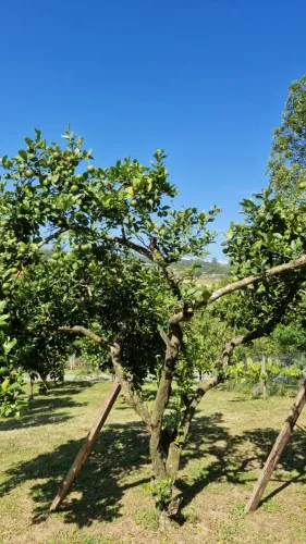 Terreno de 510m², Barra Velha/SC