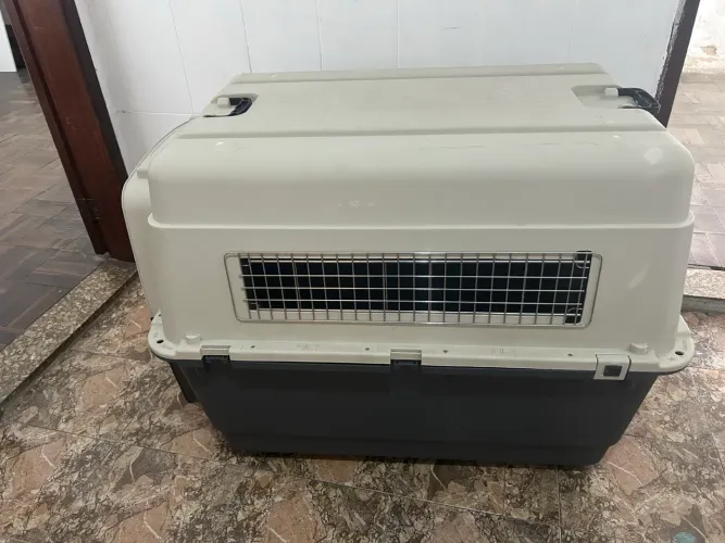 Caixa de Transporte Gomoov 90 GD Grande - NOVA, NUNCA USADA