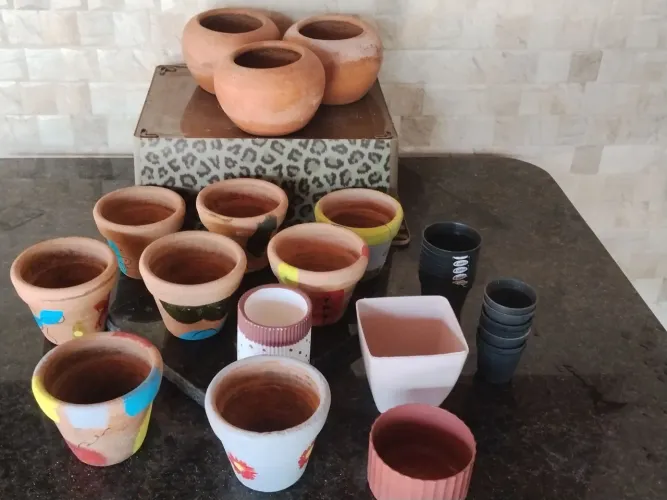 Vasos de plantas 
