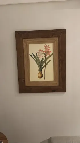 Quadros e gravuras decoração