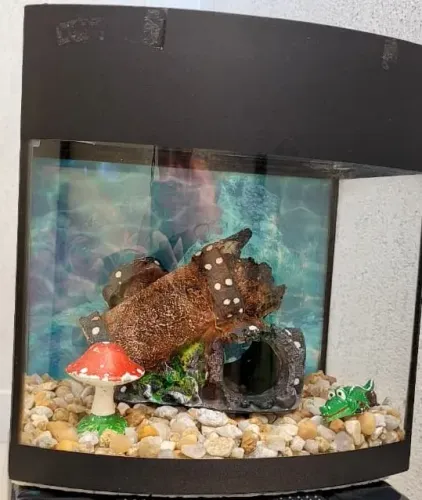 Aquário de vidro com decoração