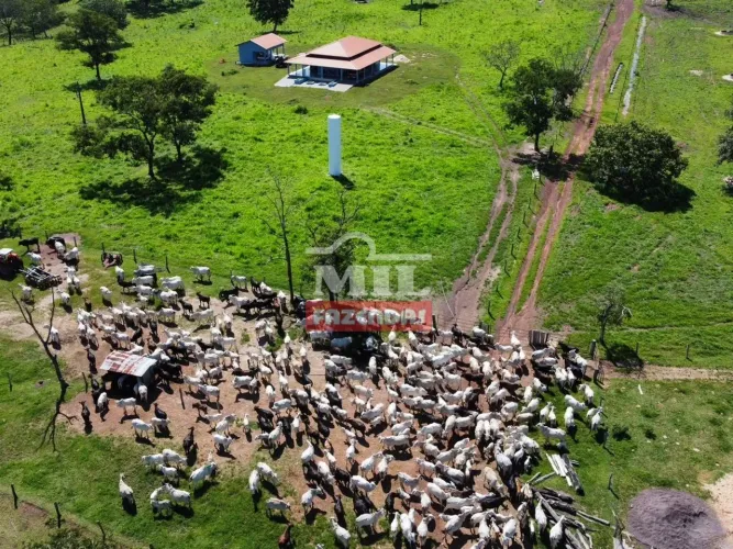 Fazenda dupla aptidão 210 alqueires ( 1.020 hectares ) Ribeirão Cascalheira-MT