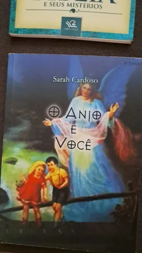 Coleção com 44 livros diversos