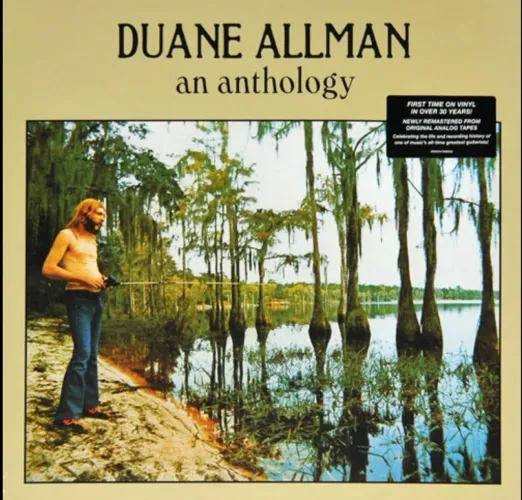 Vinil Duane Allman - An Anthology Importado pouco uso 