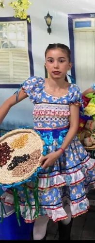 Vestido quadrilha seminovo , usado uma vez