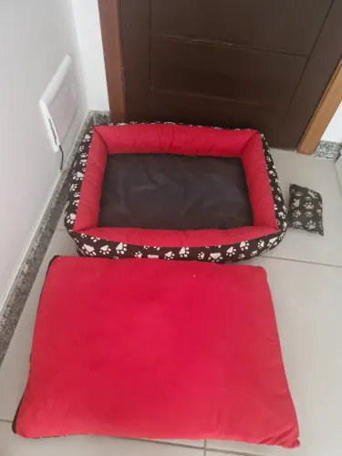 VENDO CAMINHA P/ PET