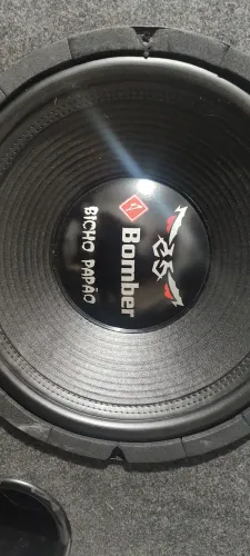 CAIXA BICHO PAPÃO!!! 