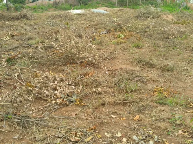 Dois excelentes lotes no município de Juatuba por 35.000 cada