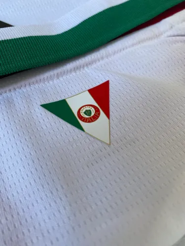 CAMISA PALMEIRAS 26/27 (R$130,00)