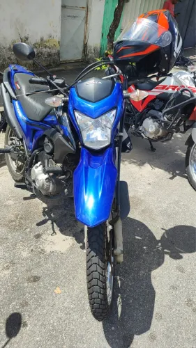 Única dona
