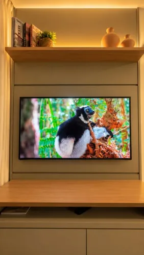 Tv de Led 49 polegadas + Suporte articulado