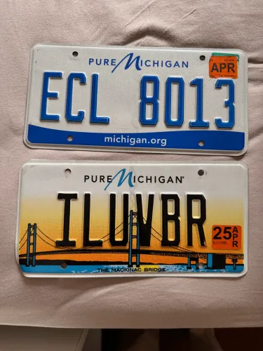 Kit 2 Placas Decorativas de Carro EUA - Michigan Originais (Inclui ILUVBR)