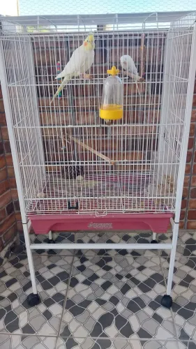 Gaiola Quatiguá