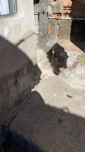 Ajudante de pedreiro no bairro ou nas proximidades do Jardim Alvorada em Belo Horizonte 