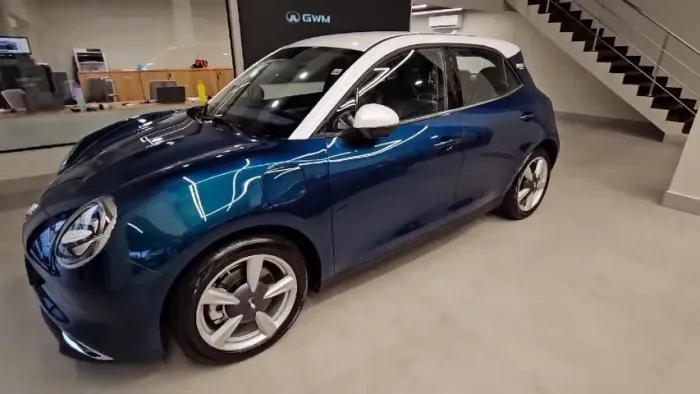 GWM Ora 03 Skin (elétrico) 2024