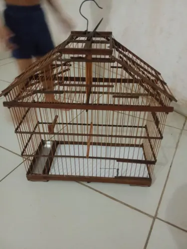 Gaiola