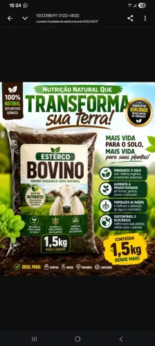 Esterco Bovino Puro - Nutrição Natural para suas Plantas 