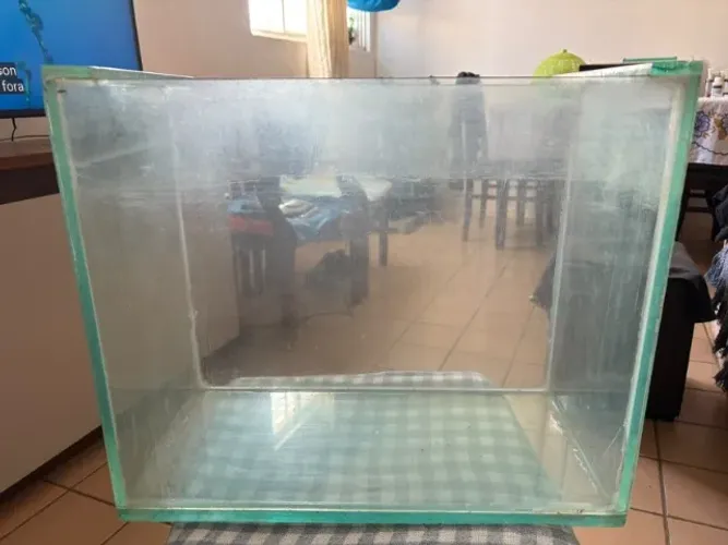 Aquario
