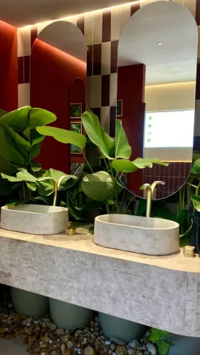Espelhos e Vasos de planta M