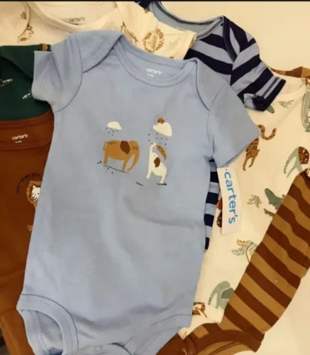 Kit body carters