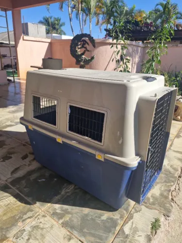 Caixa de transporte Pet marca DogFly n7
