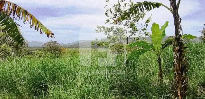 Terreno à venda no Sambaqui
