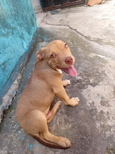 Pra vender hoje motivo da venda vou se mudar