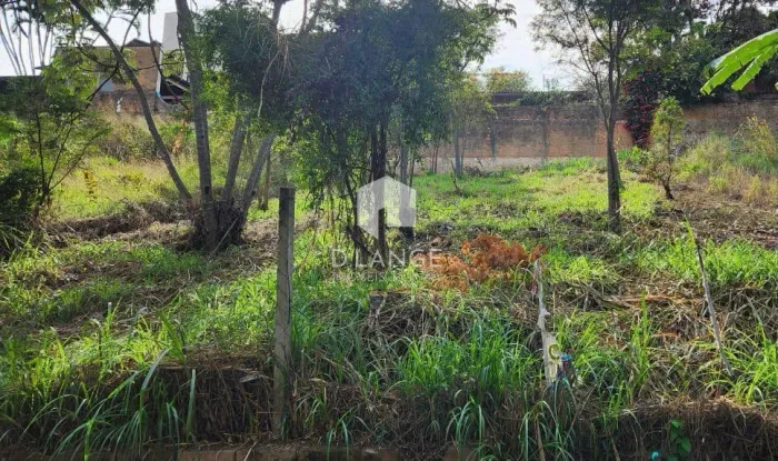 Terreno à venda no bairro Jardim das Paineiras em Campinas