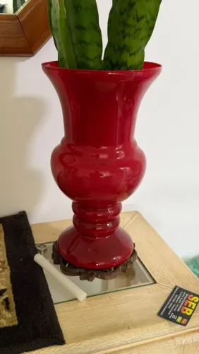 Vaso vermelho 