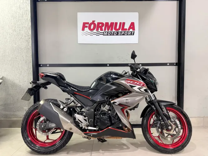 Z300 ABS 2019