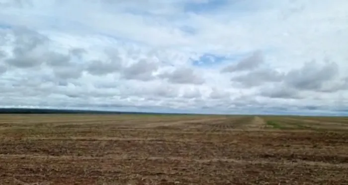 Fazenda em 1.848 Alq. (Goiano) (8.949 ha) Nova Ubiratã-MT