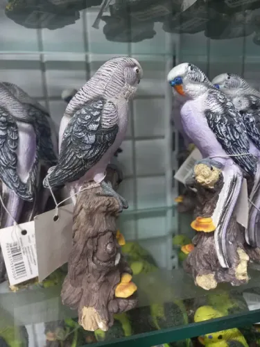 Escultura Estatueta Decoração Periquito Pássaro em resina rico em detalhes