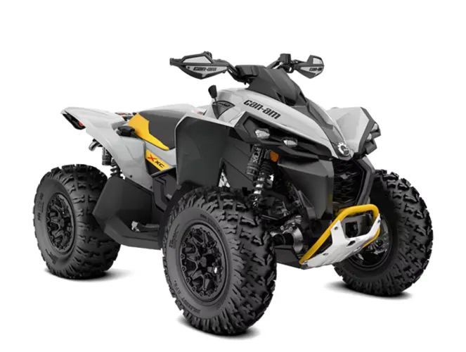 Quadriciclo Can Am Renegade 110 EFI