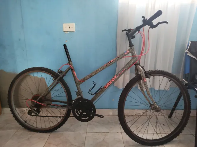 Bicicleta