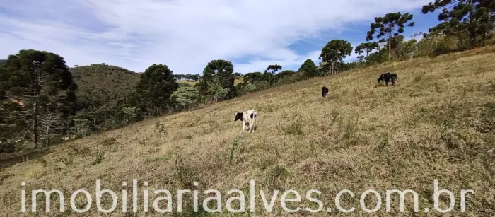 Terreno Contendo 6,34 Hectares Em Delfim Moreira  Sul De Minas Gerais.
