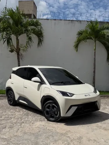 BYD Dolphin Mini (Elétrico) 2024
