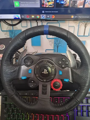 Volante g29