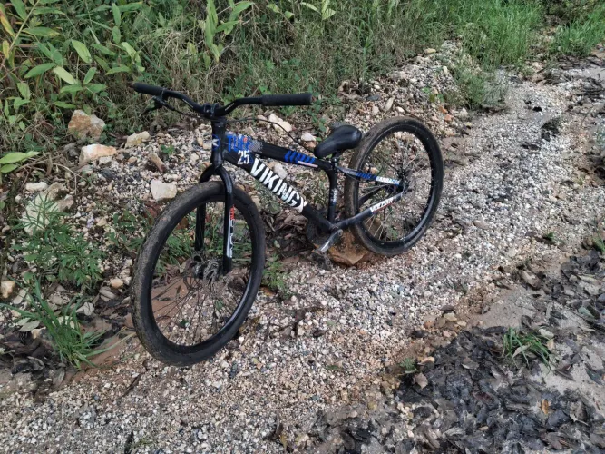 Bike vikingx