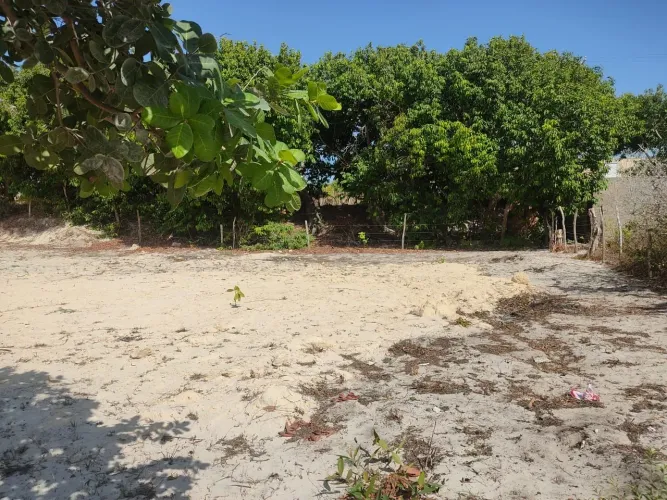 Vendo Terreno à 1 Quarteirão que Nacional de Jericoacoara - Aceito Troca