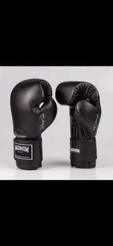 Luvas Boxe e Muai Thay
