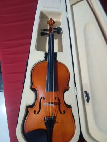 Violino 4/4 iniciantes acompanha case e arco