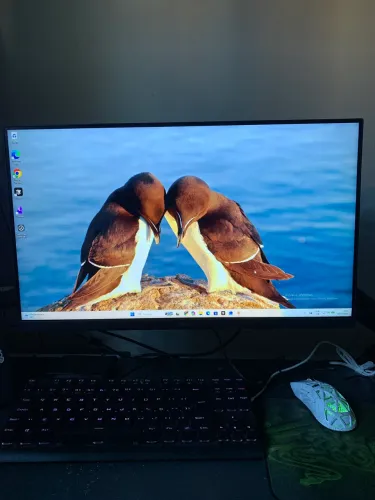 Monitor PC Gamer LG 24 - IPS, Full HD, 100Hz, HDMI - 24MS500-B