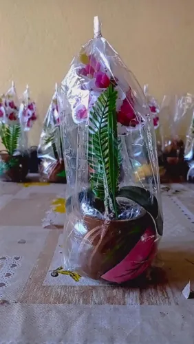 jarros decorativos