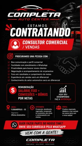CONSULTOR COMERCIAL / VENDAS AUTOMOTIVO