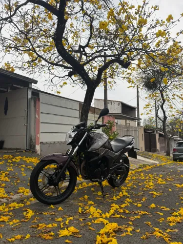 Vendo fazer 250 blueflex 2017