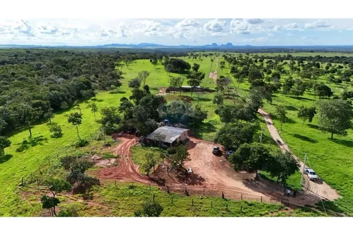 Área Rural à Venda no Mato Grosso | Excelente Oportunidade de Investimento