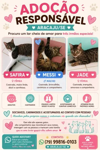 Adoção Responsável 
