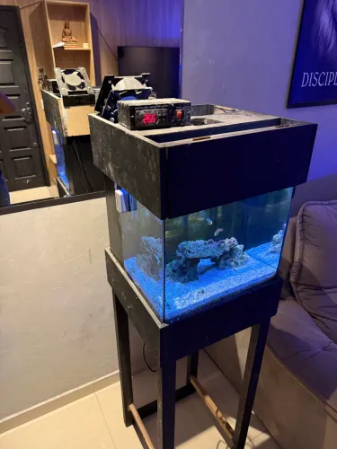 Aquariano marinho nano reef