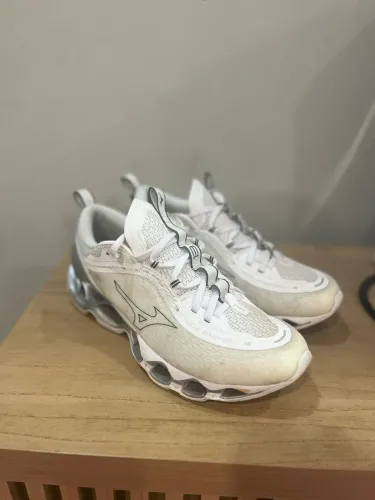 Mizuno Prophecy