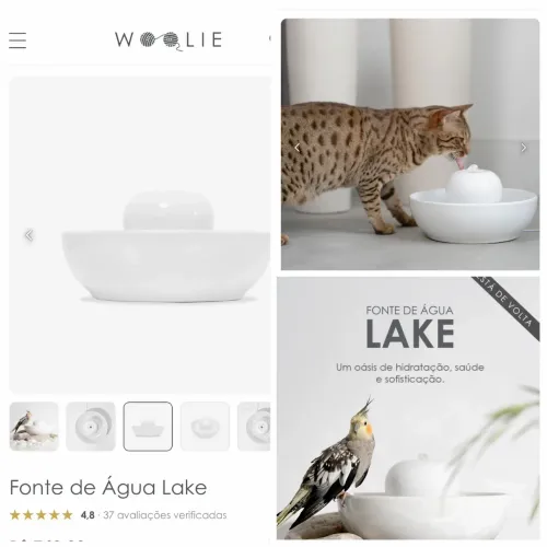 Fonte Bebedouro de Água para Gatos Woolie Lake em Cerâmica - Nova / Nunca Usada